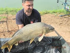 carpfishing 2014